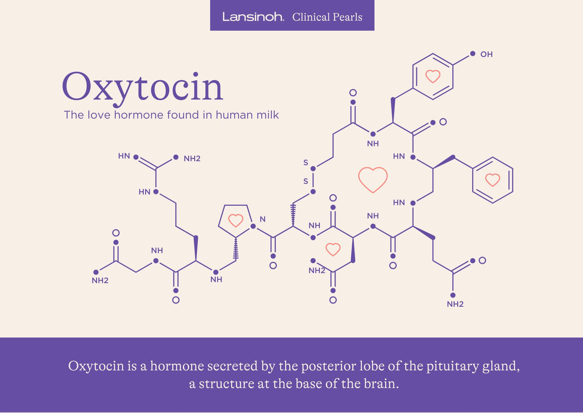 Oxytocin - image 1