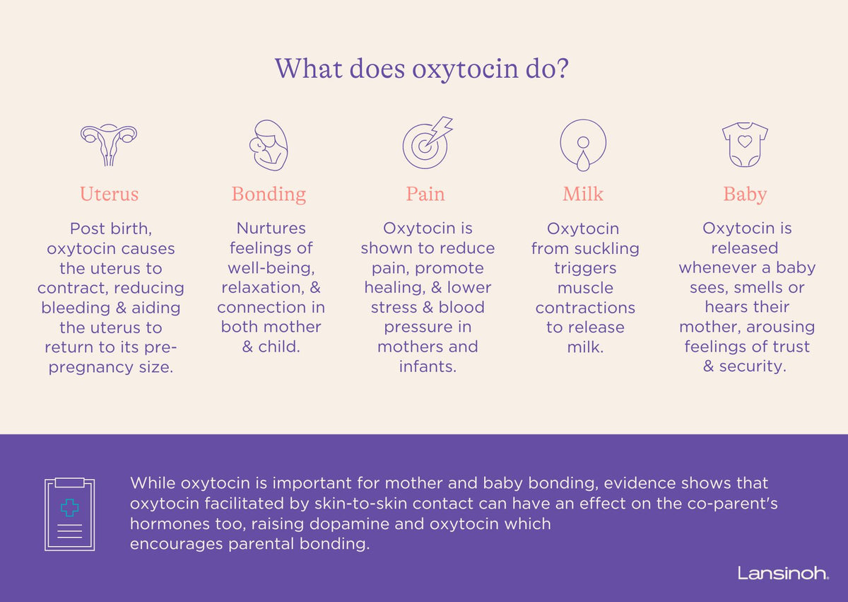 Oxytocin - image 2