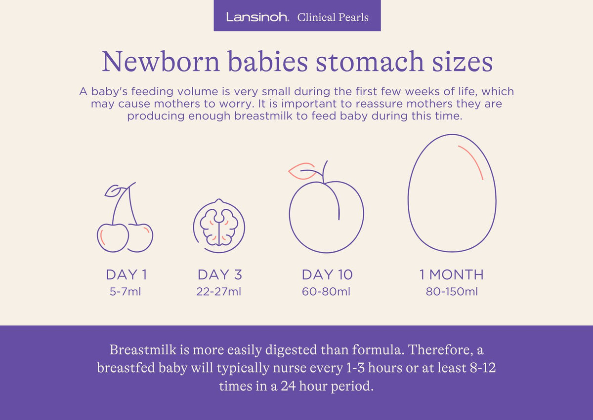 Newborn Stomach Sizes - image 1