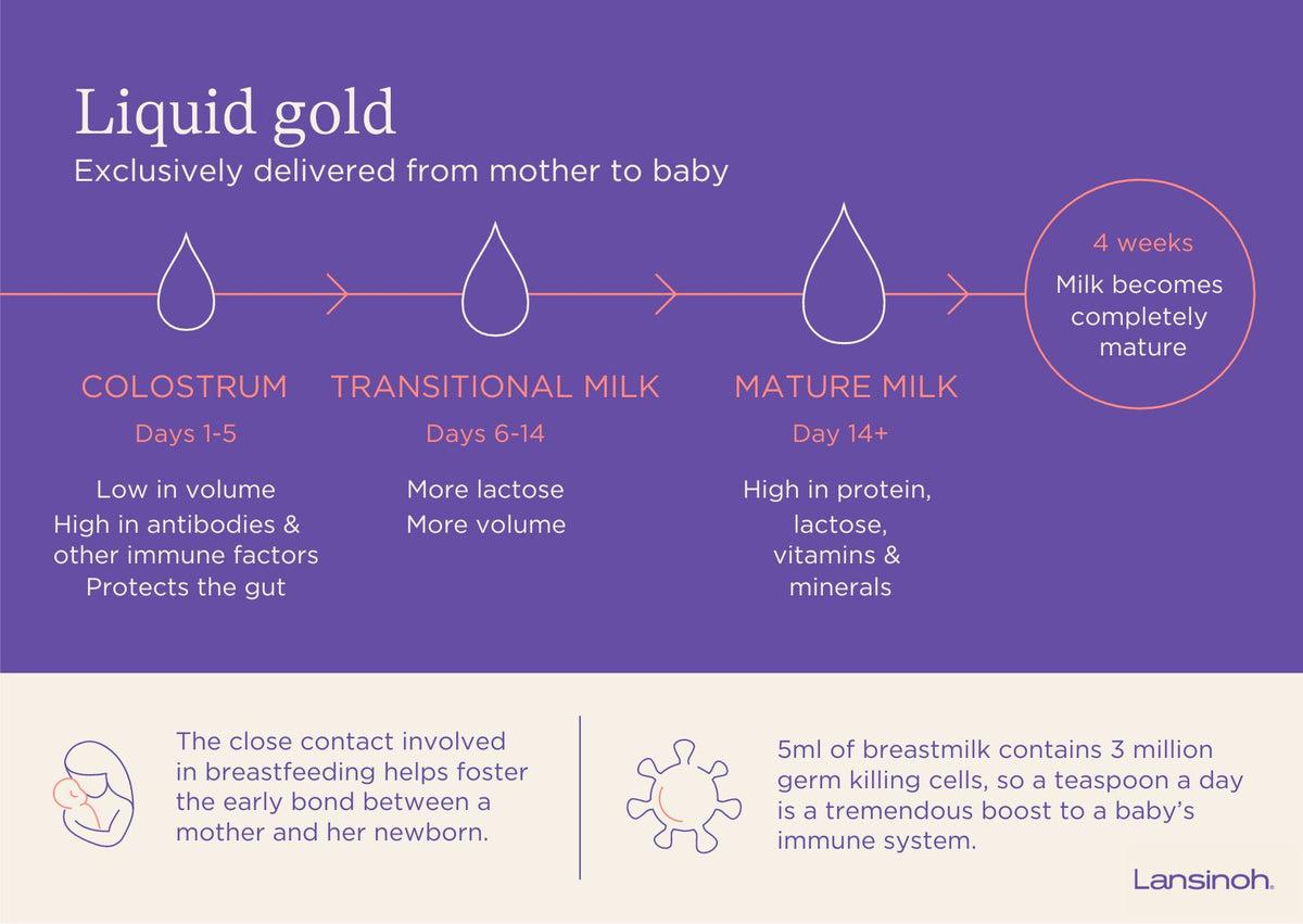 Newborn Stomach Sizes - image 2