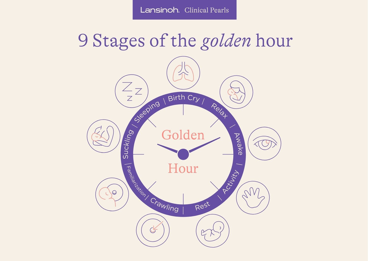 9 Stages of the Golden Hour - image 1
