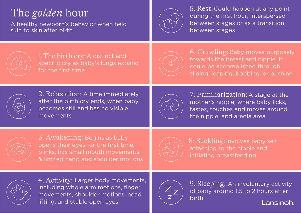 9 Stages of the Golden Hour - image 2