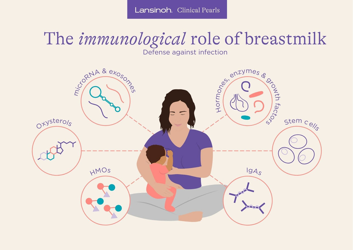 The Immunological Role of Breast Milk - image 1