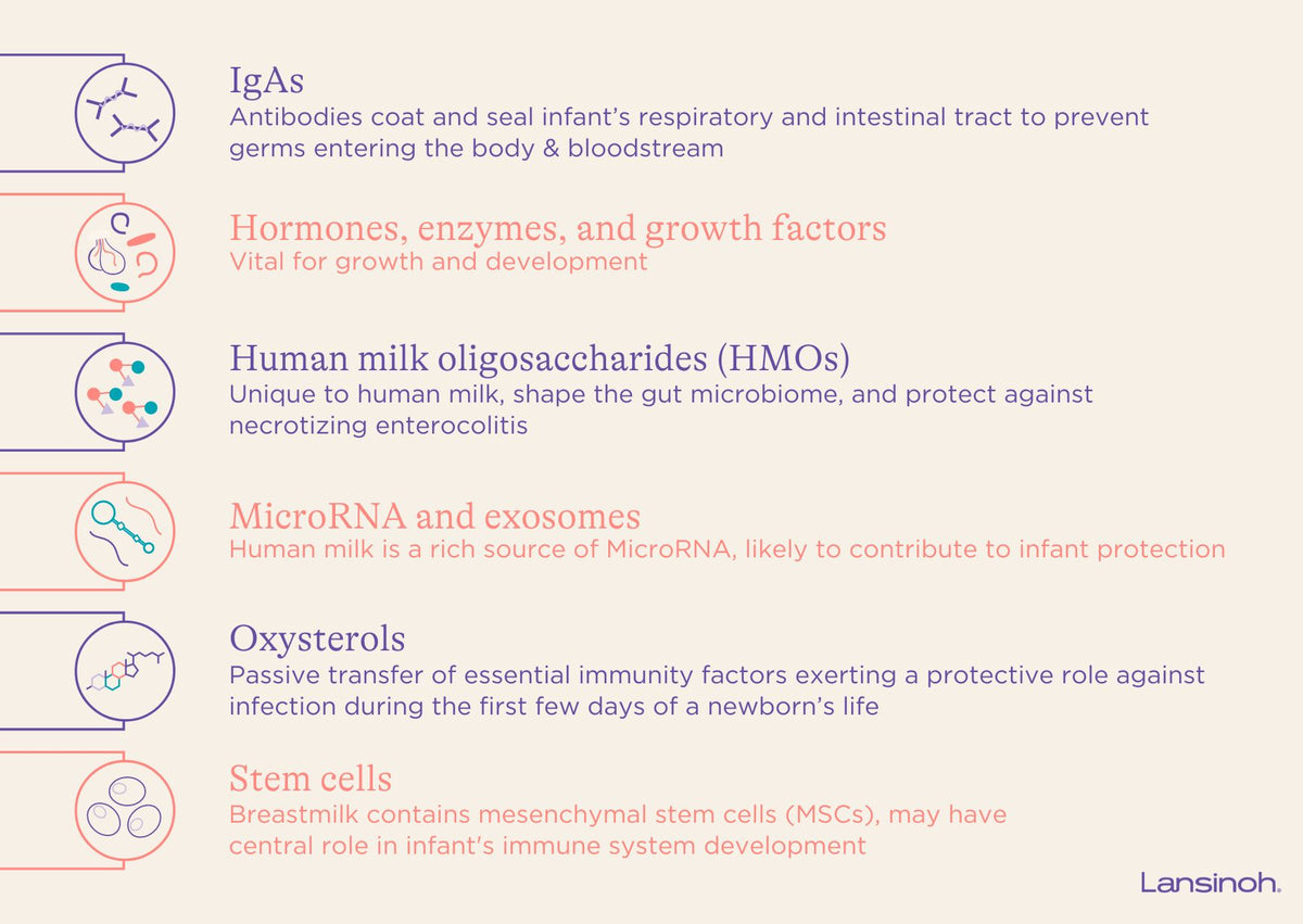 The Immunological Role of Breast Milk - image 2