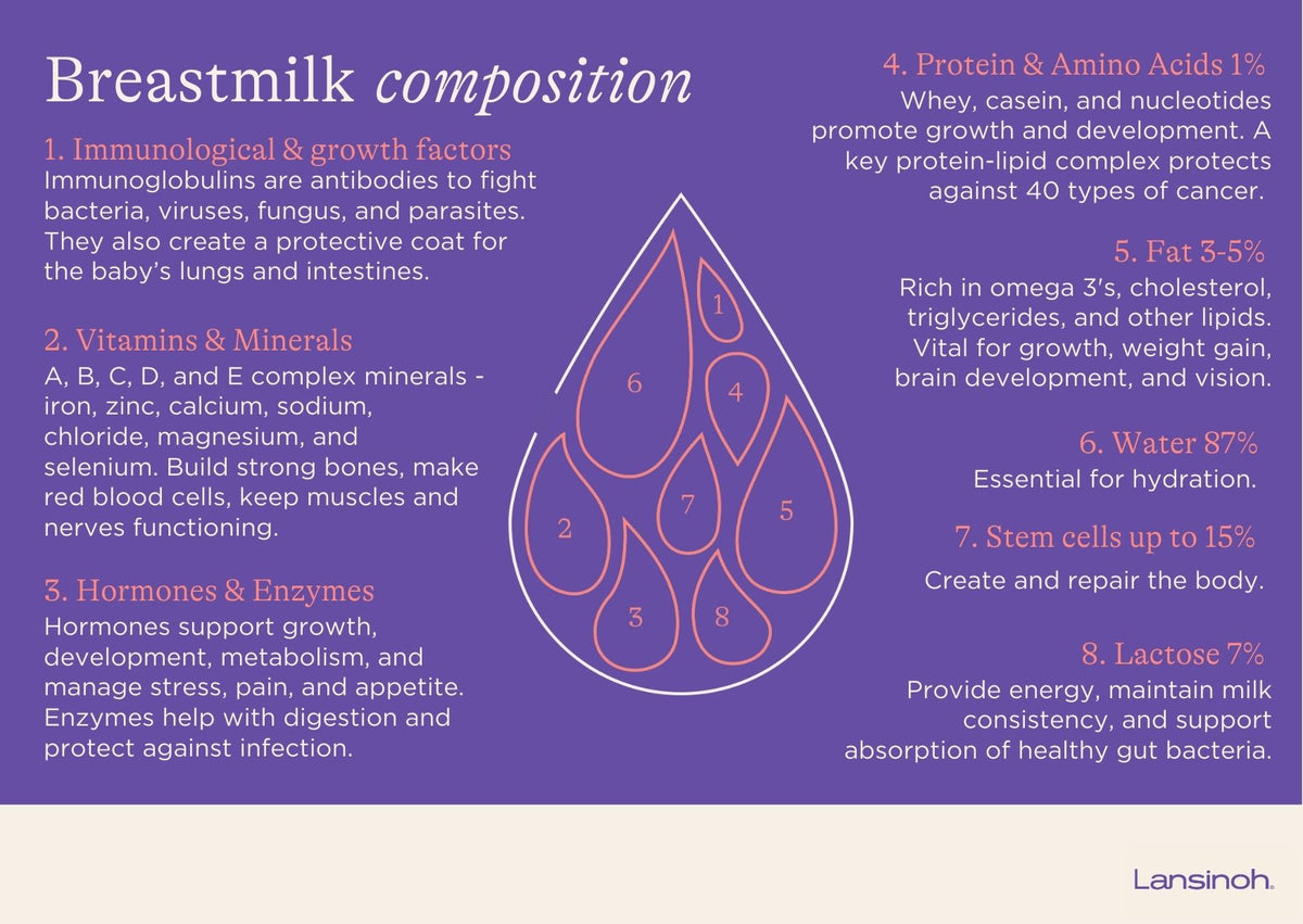 How Mothers Produce Breastmilk - image 2