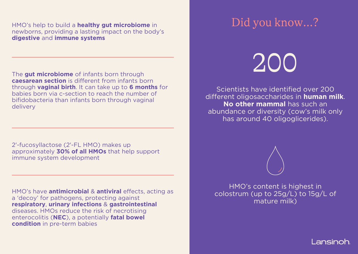 The Benefits of Human Milk Oligosacharides - image 2