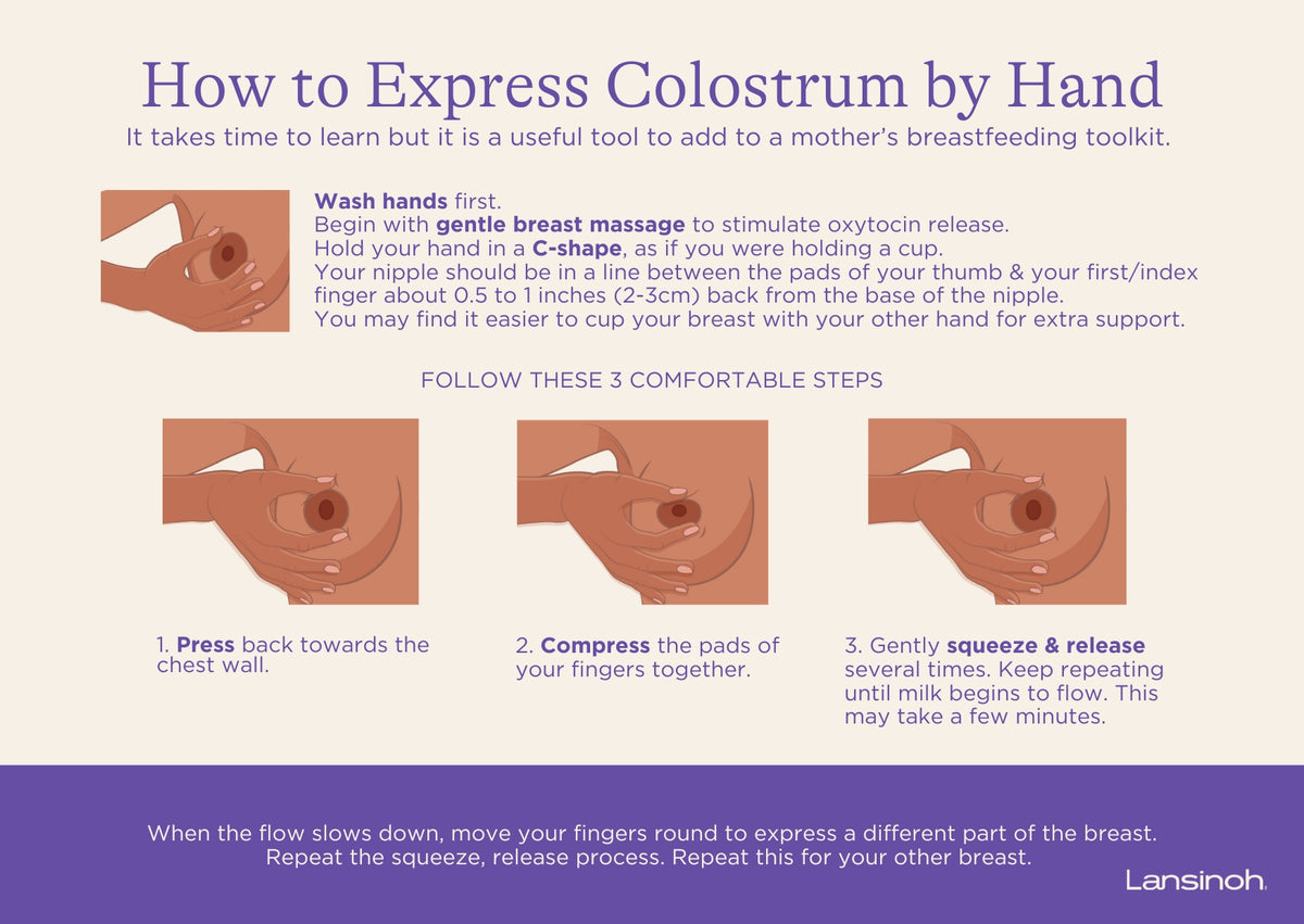 Expressing Early Milk and Colostrum - image 2
