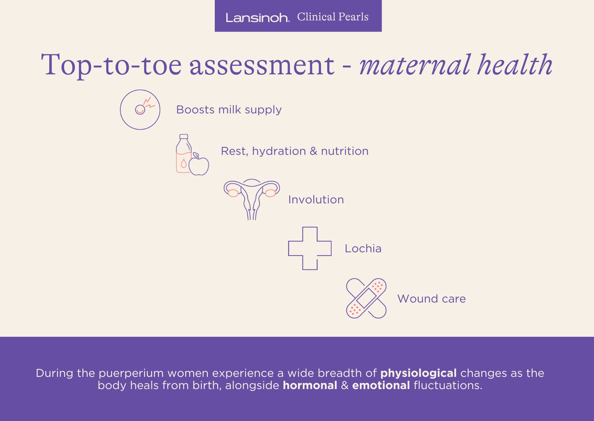 Maternal Health Tip-to-Toe Assessment - image 1