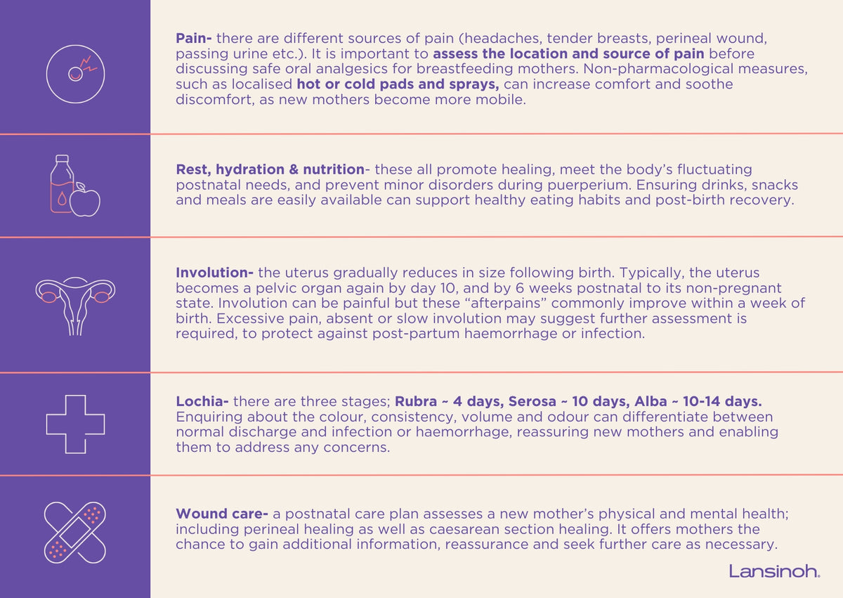 Maternal Health Tip-to-Toe Assessment - image 2
