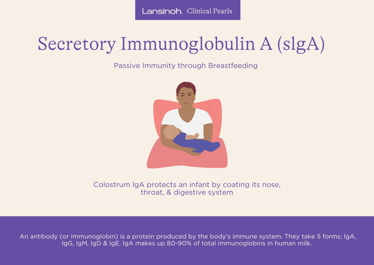 Secretory Immunoglobulin A (slgA) - image 1