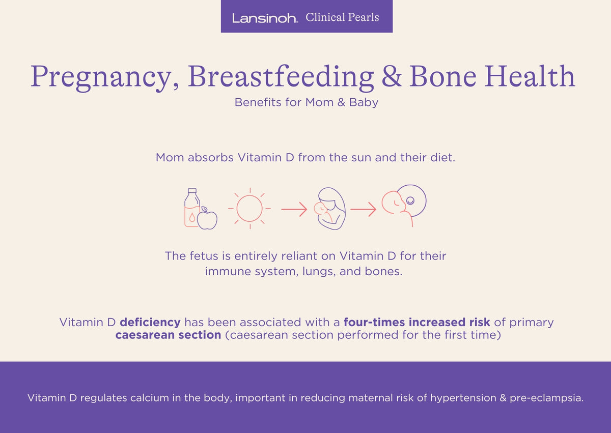 Pregnancy, Breastfeeding & Bone Health - image 1