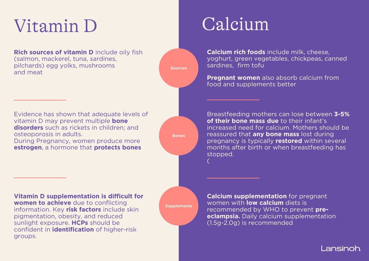 Pregnancy, Breastfeeding & Bone Health - image 2