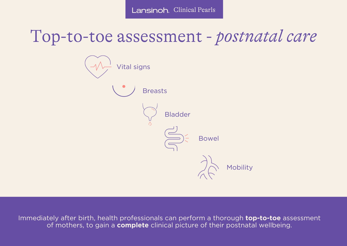 Top-to-toe assessment - postnatal care - image 1
