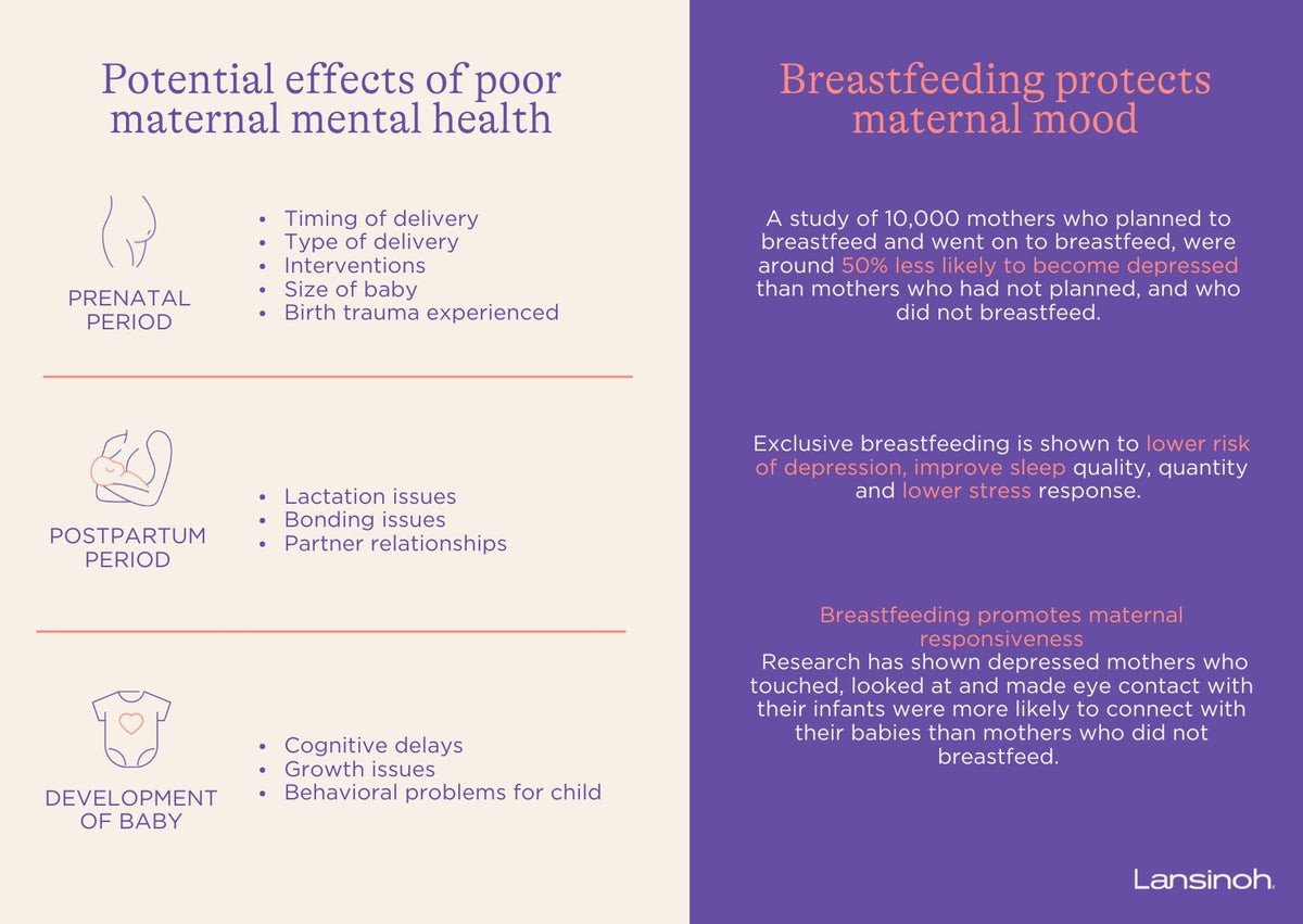 Breastfeeding and Maternal Mood Disorders - image 2